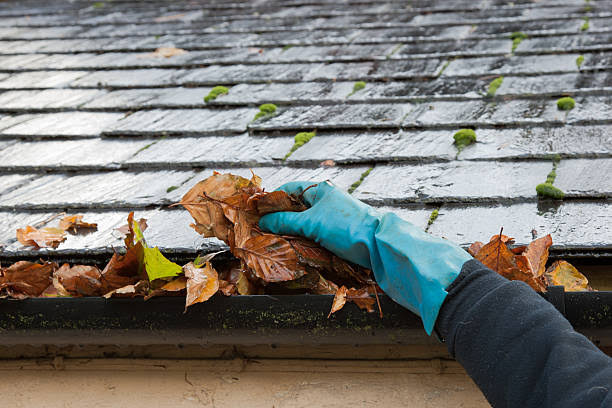 gutter-cleaning-halewood