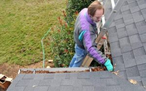 how-to-clean-guttering