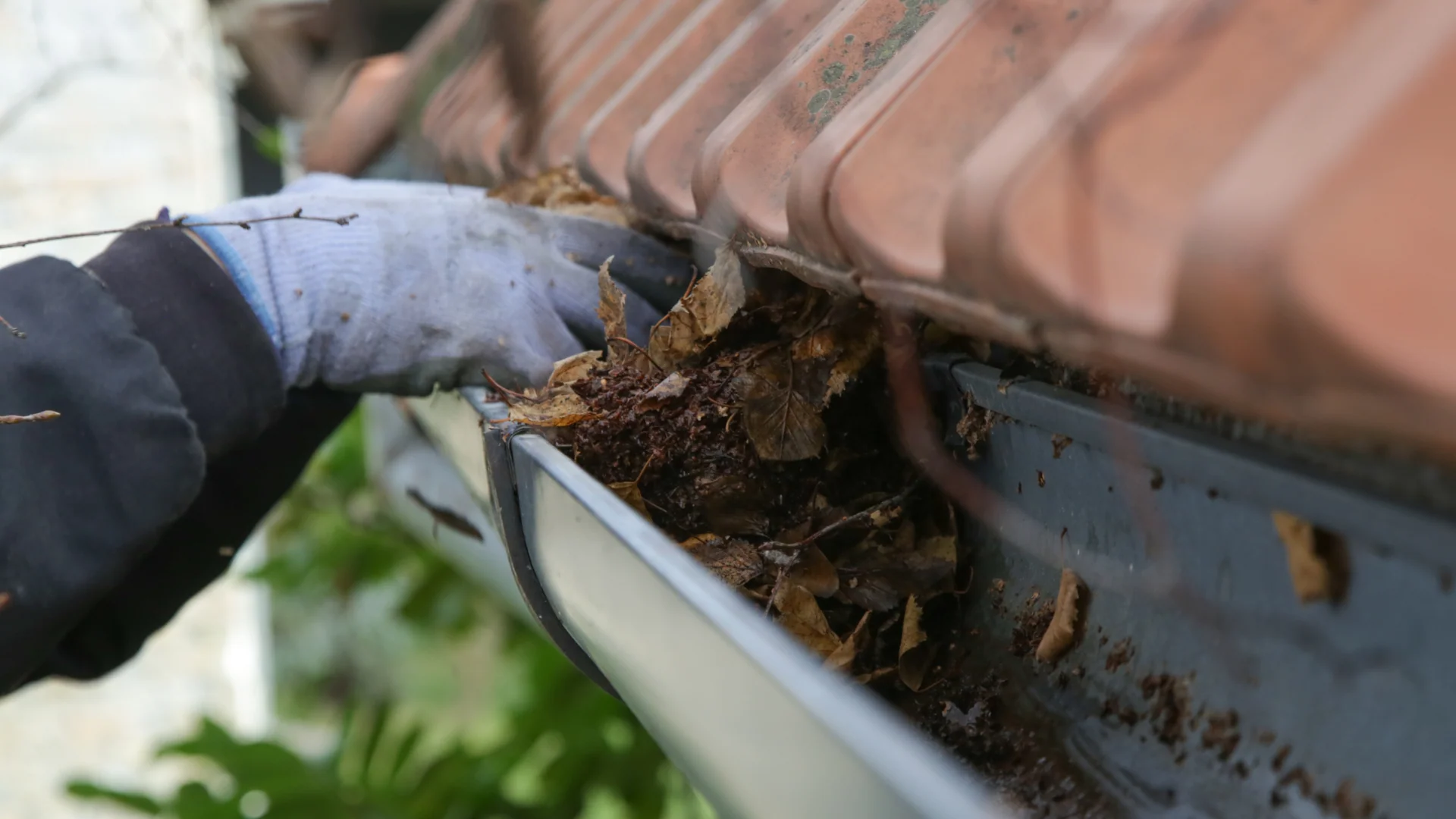 how-to-clean-guttering