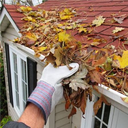 how-to-clean-gutters-from-the-ground