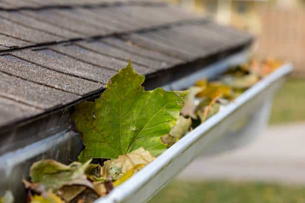 how-to-clean-gutters