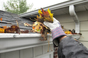 how-much-for-gutter-cleaning